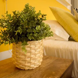 Intendente 1865 B&B Lisabona